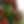 35509-0772_alt2.png