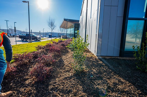 Untitled design (66).jpg