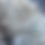 Thumbnail: SHEEPSKIN 291A