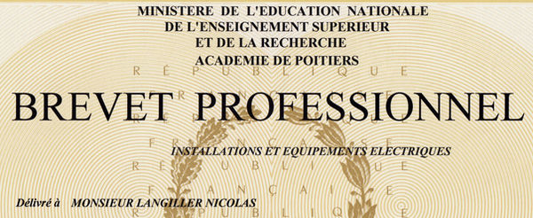 brevet pro.jpeg
