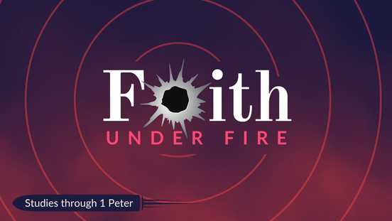 Servant's Church Teaching Series. 