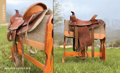 Reddesign_Wasatch Photo