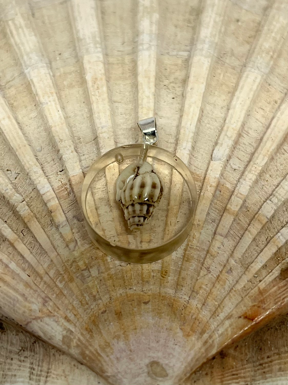 Thumbnail: Eenvoudig schelpenhangertje