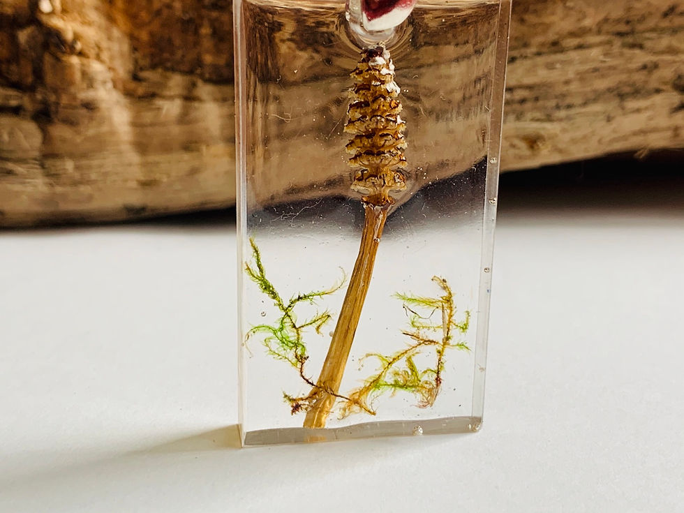 Thumbnail: Paddestoel hangertje 