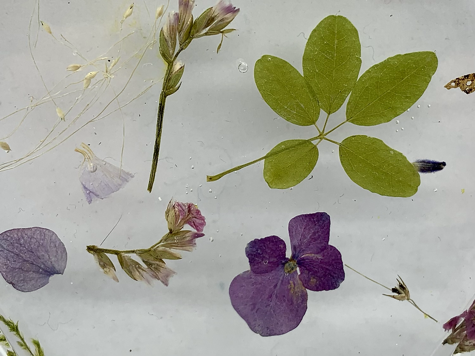 Thumbnail: Set onderzetters met bloemen
