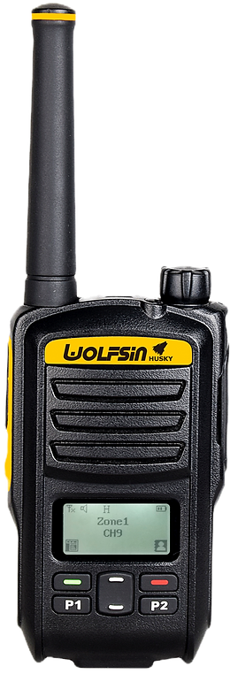 HUSKY SIBERIAN K(Yellow)_edited_edited.p