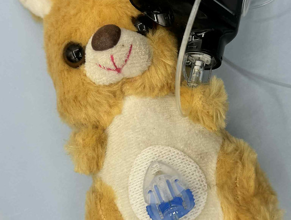 672966a0-4926-4895-bcb2-1317d7dab000_edi