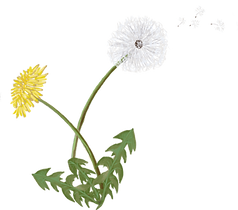 Project (20250703102629) - Edited_edited