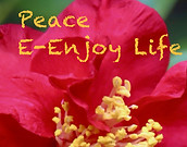 Peace-Enjoy Life