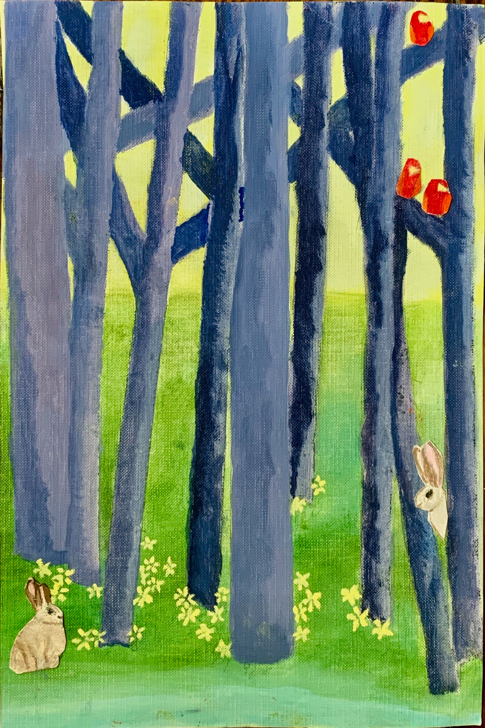 The Birds and the Bunnies