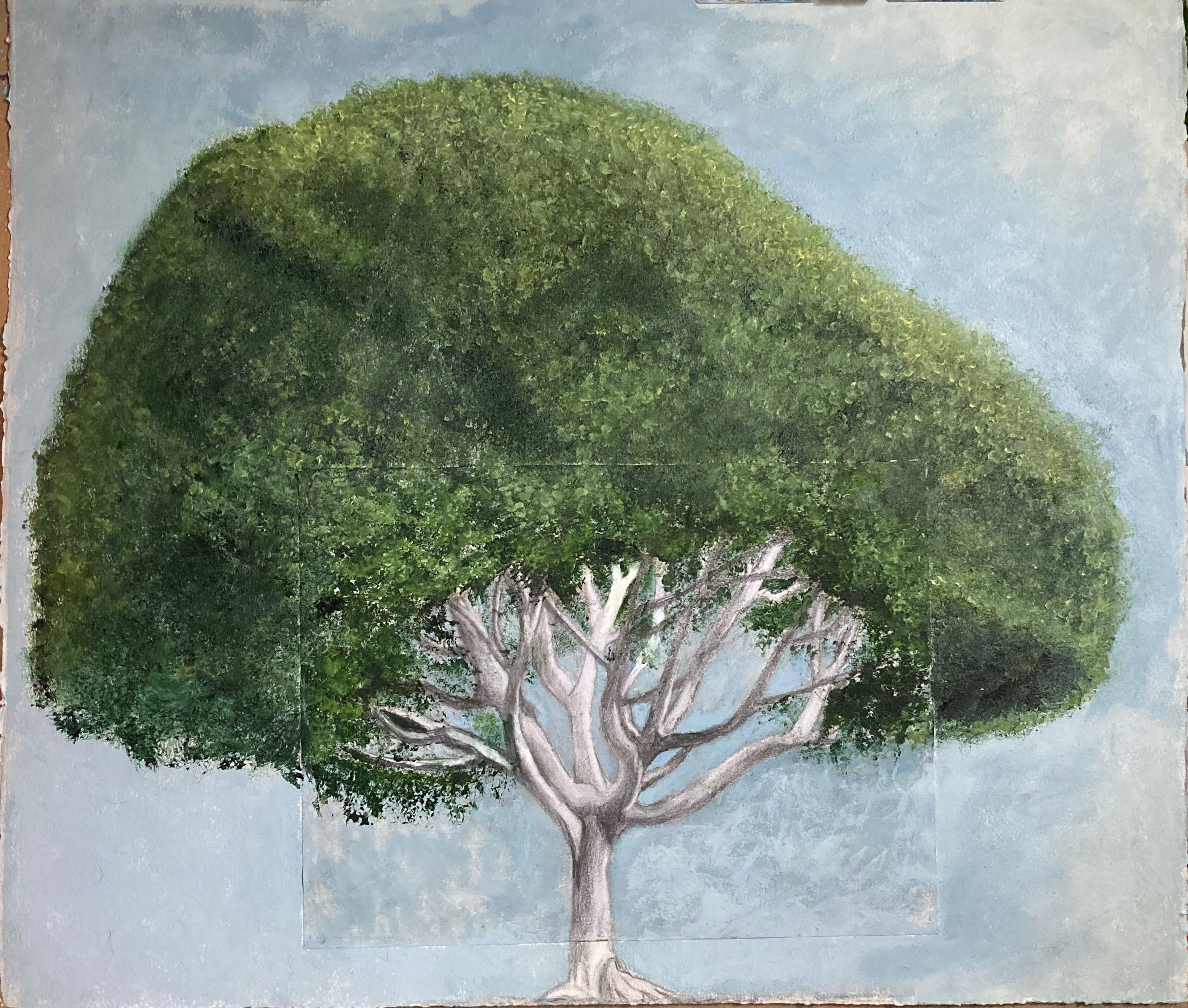 Mushroom Tree