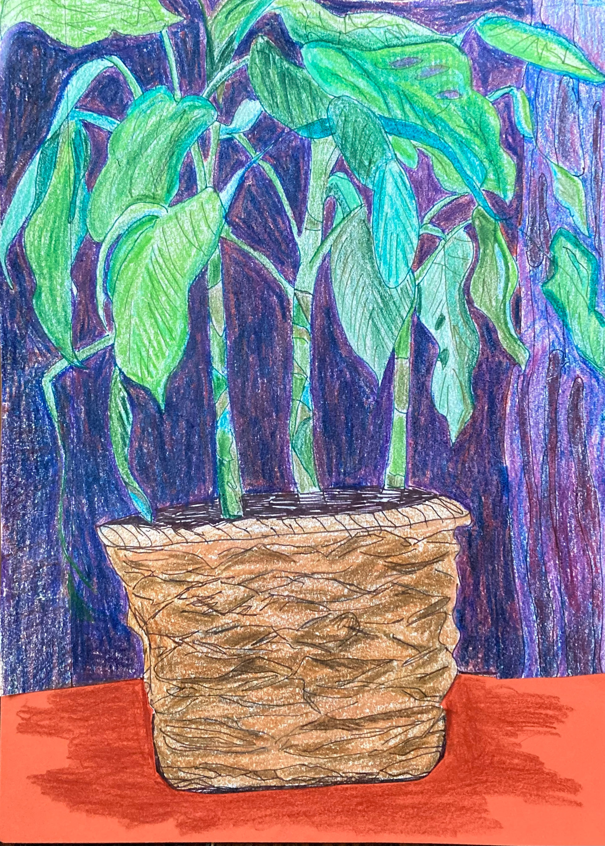 Plant in a Basket