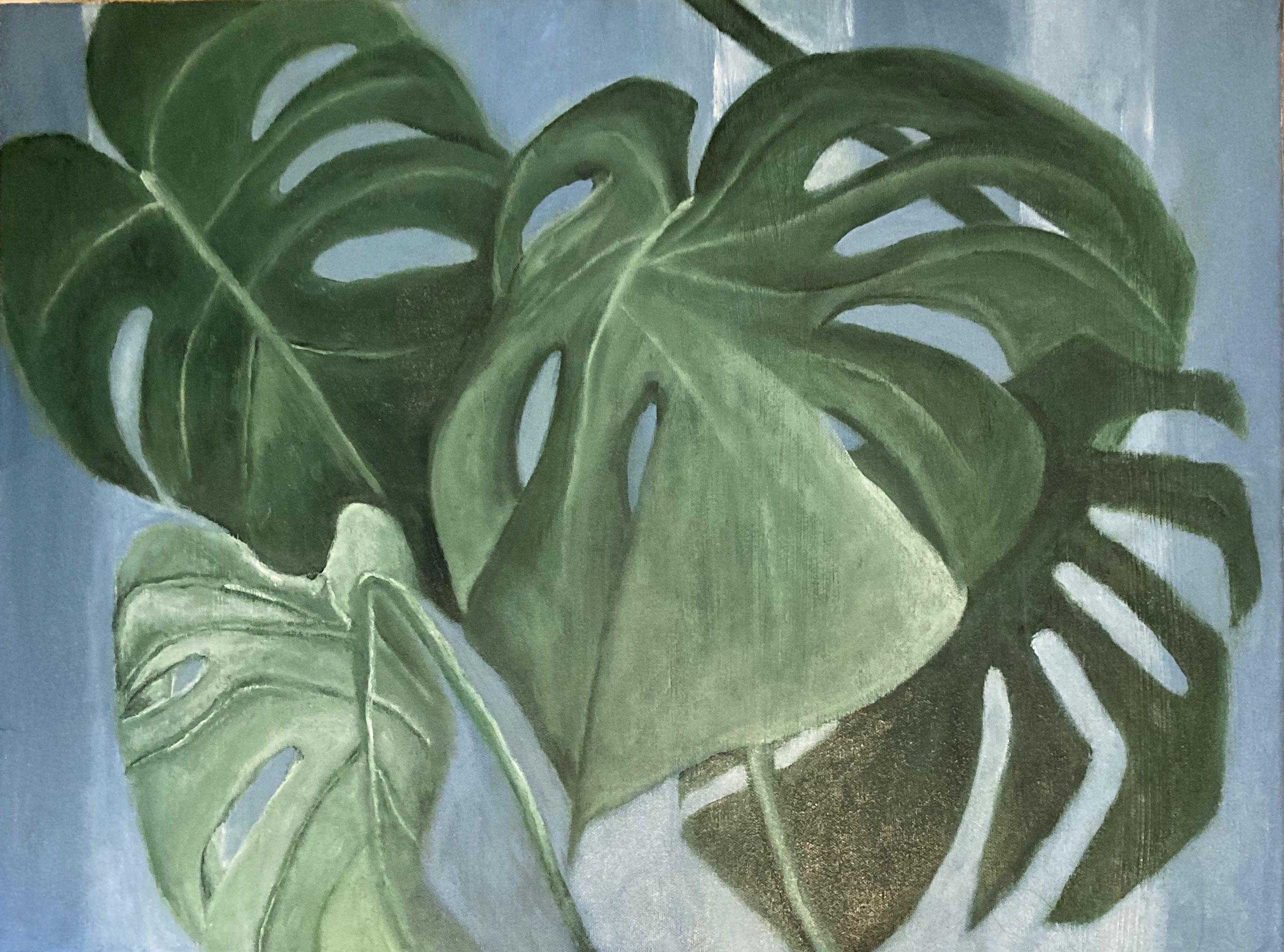 Monstera