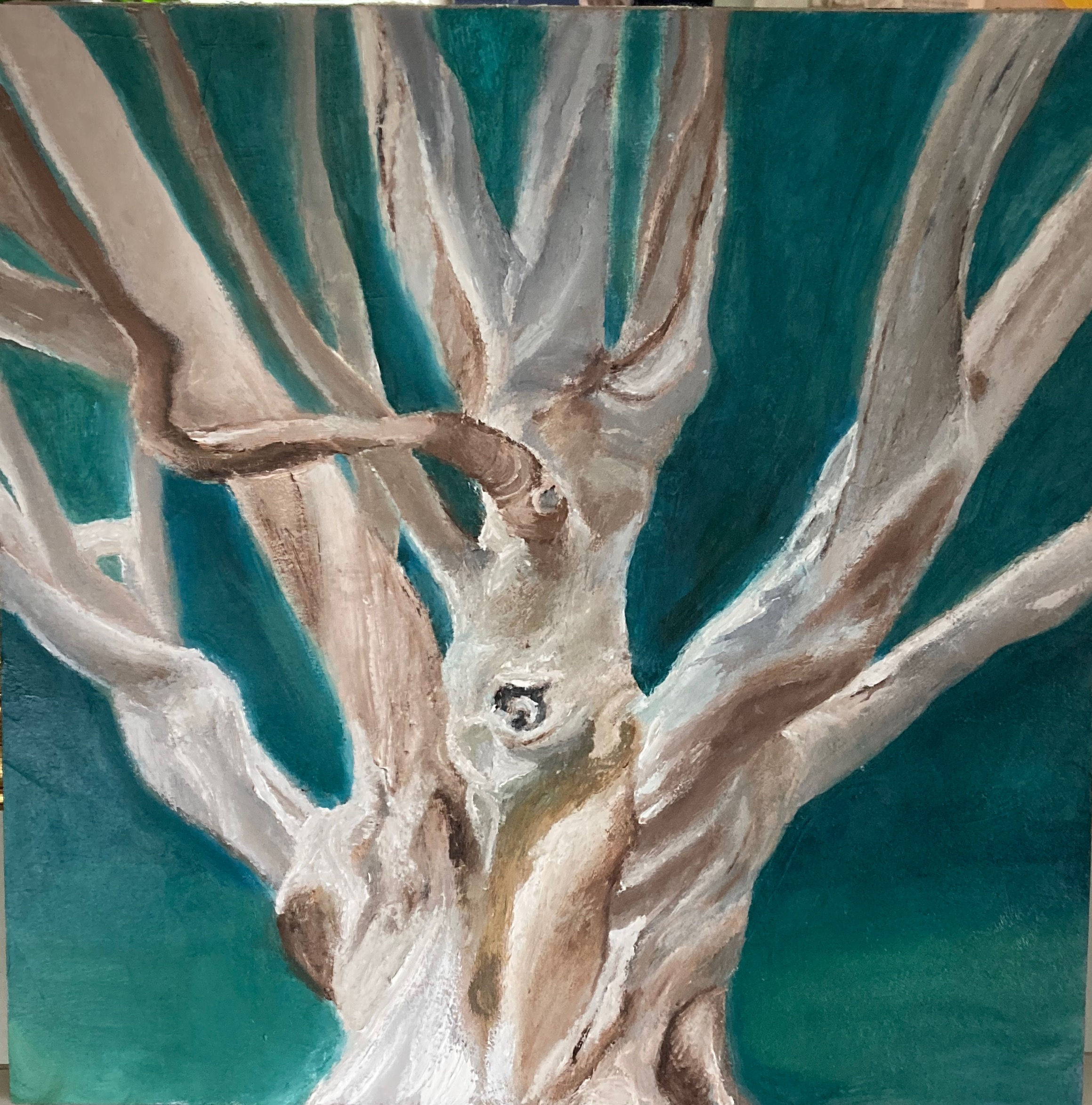Big Tree