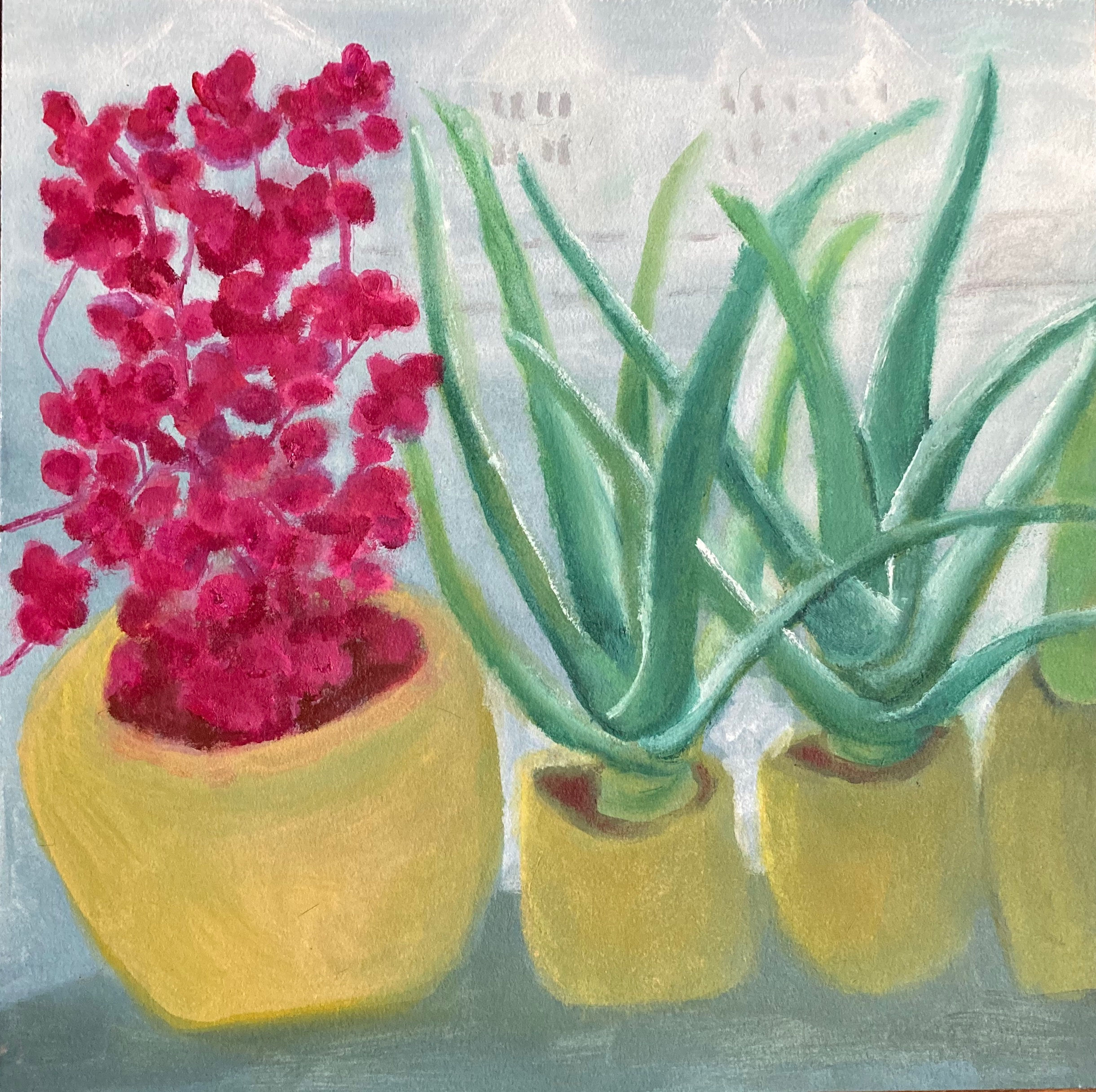 My Dentist's Window Sill
