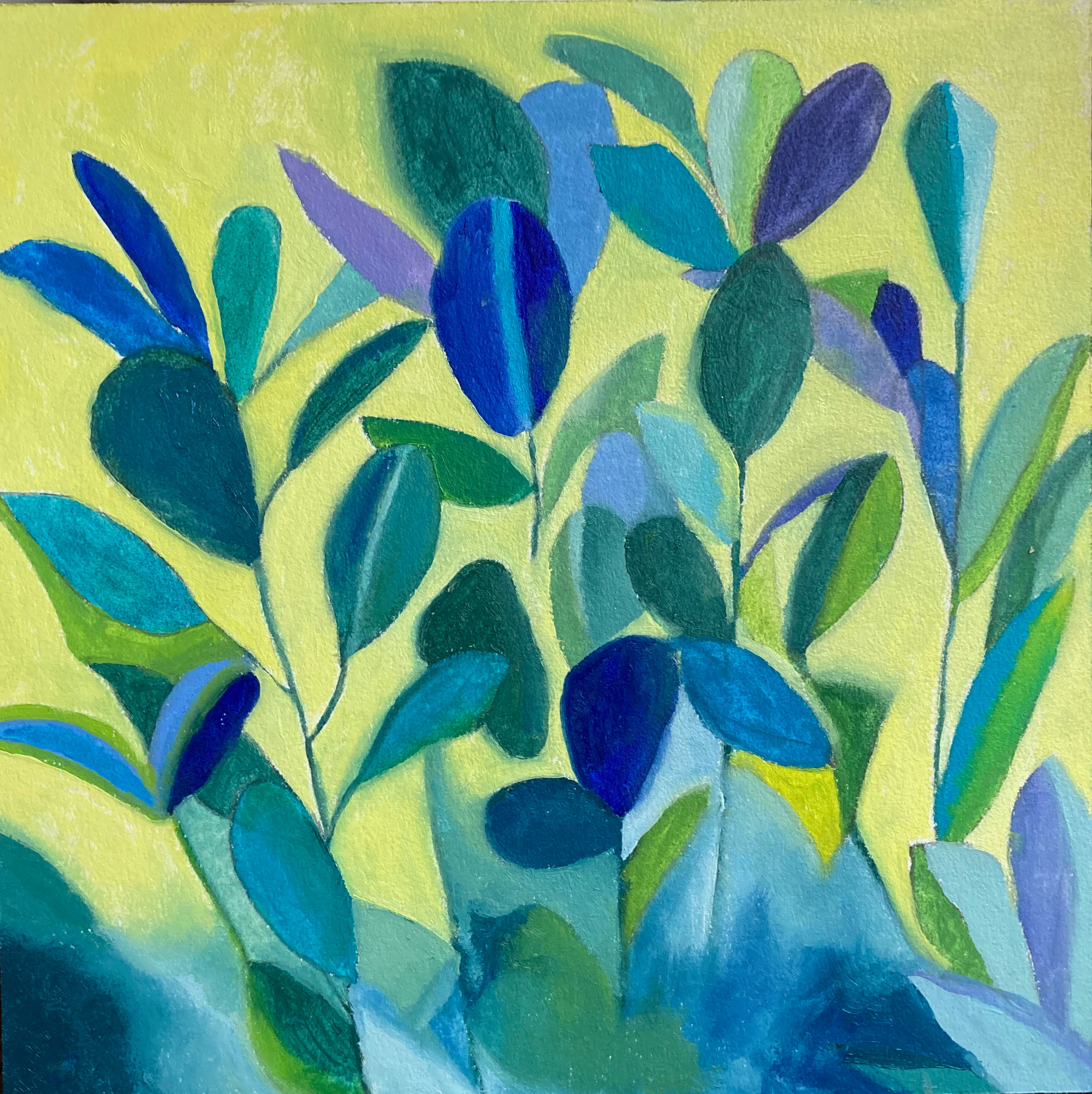 Jubilant Plant
