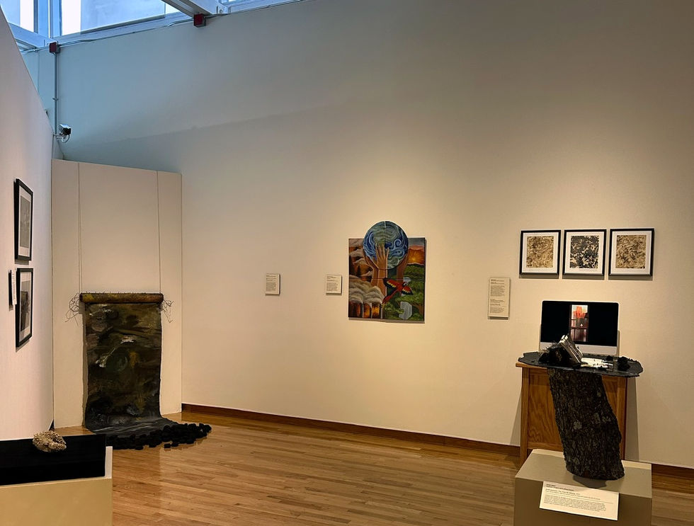 Museum install