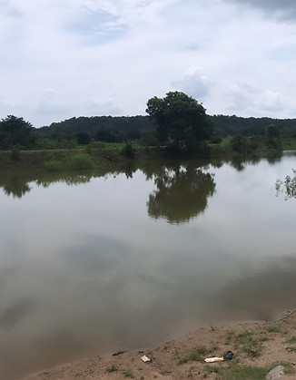 Lake near Monkeys' Food Court