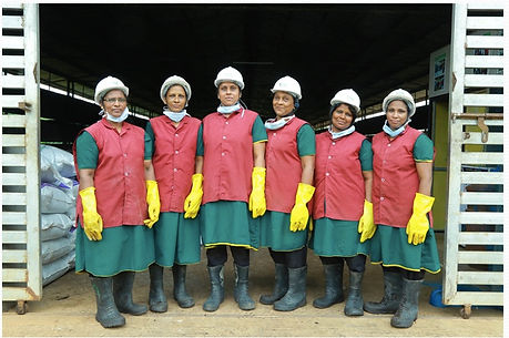 Samata women.jpg