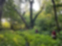 IMG_4223.JPEG
