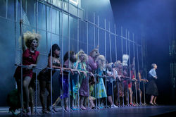 presidio hairspray.jpg