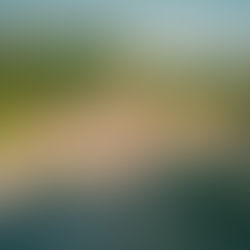 Gefahrgut Übung in Borgloh