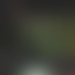 Zahlreiche Einsätze – Sturmtief Zeynep