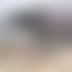 Verdächtige Rauchentwicklung