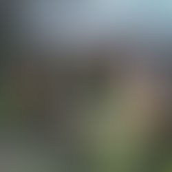 Brand eines Werkstatt Anbau