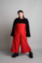 Thumbnail: Reversible Expose Top