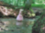 Ruisseau de la Valleyre