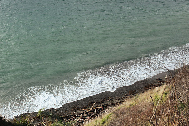 IMG_6624.jpg
