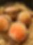 IMG_1257_edited.png