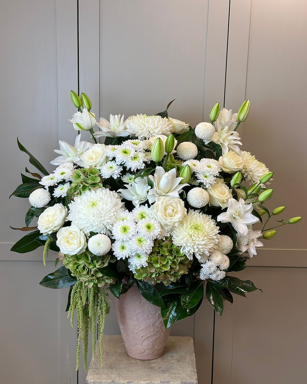 Zengin Beyaz Anajmanı