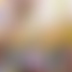 大枝柿畑で野点お茶会