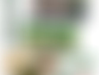 荒廃茶園からお茶作る!