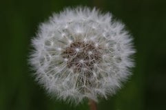 375d3ba8-0d6f-45d3-921f-8c816d61f198.jpeg