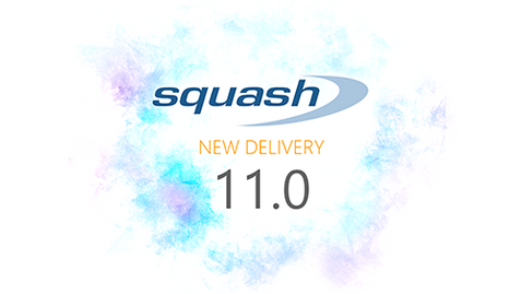 Delivery Squash 11.0, a better sprint reporting