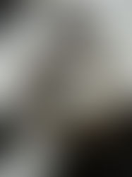 Health & Fitness: Top 6 Gym Must-Haves