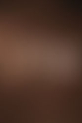 Shop Local, volume 10: Bear & Joey