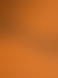 2023 Wishlist: Here's to a New Year