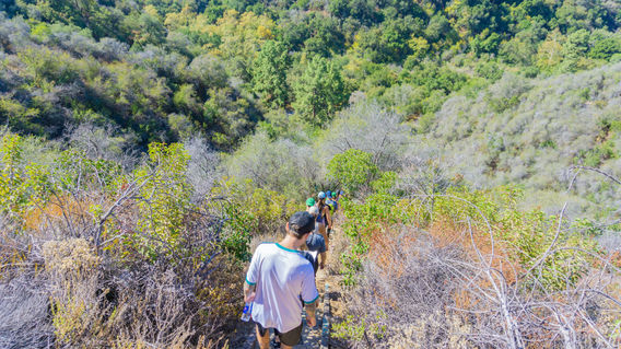 Murphy's Ranch-37.jpg