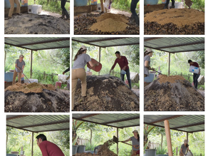 Bokashi Fertilizer Recipe: Using Local Materials
