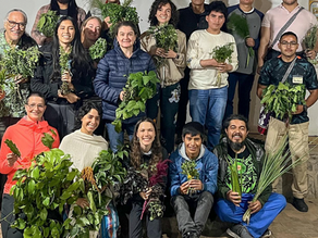 A Crash Course in Medicinal Plants from Guatemalan Expert
