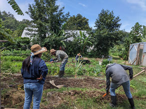 Back to Chiapas, Mexico: Agroecological Production at Rancho Lum Ha'