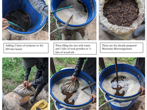Liquid Bio-fertilizer (Biol): Enhancing the Soil and Stimulating Plant Growth