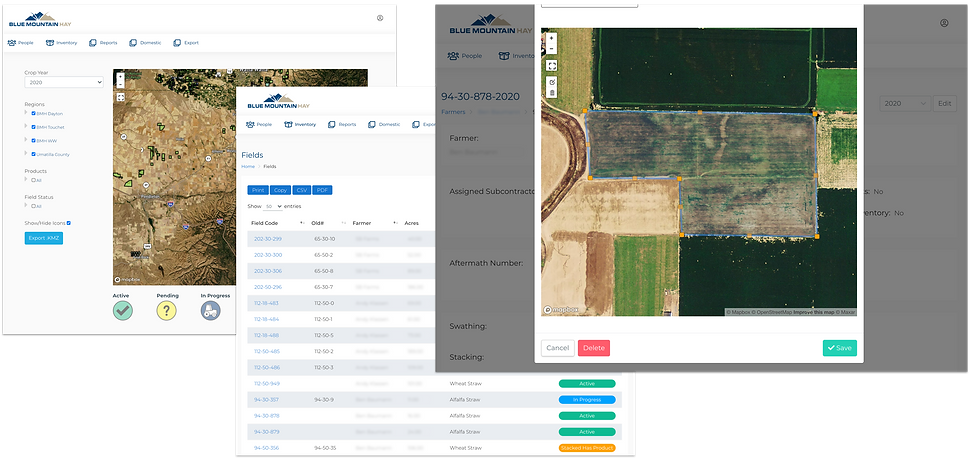BMH portfolio - wireframes.png