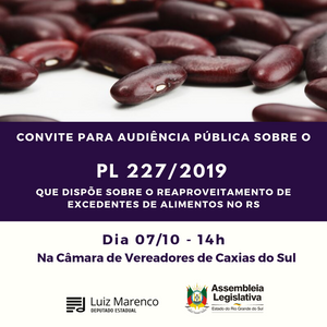 PL 227/2019 é tema de Audiência Pública em Caxias do Sul
