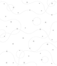 Menu Pagina Web-21.jpg