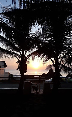WhatsApp Image 2020-04-15 at 19.56.18 (1